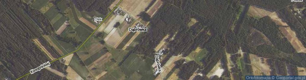 Zdjęcie satelitarne Dąbrówka ul.