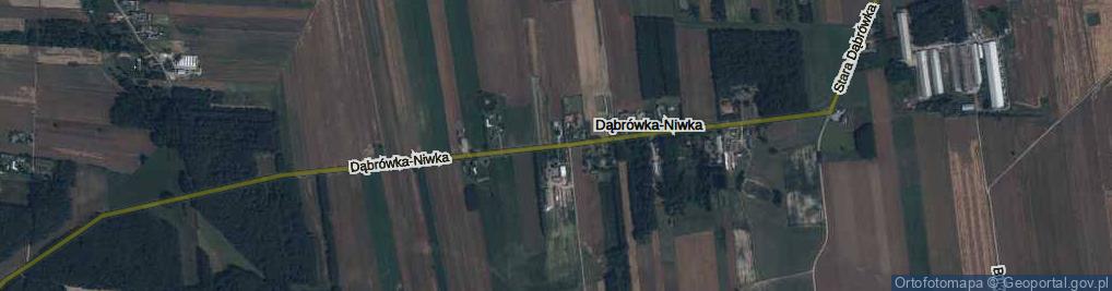 Zdjęcie satelitarne Dąbrówka-Niwka ul.