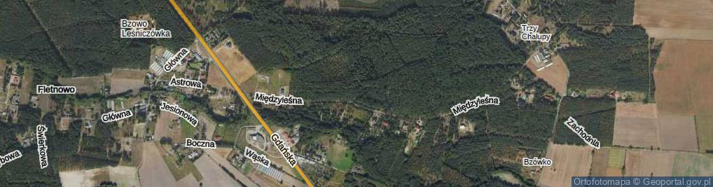 Zdjęcie satelitarne Daliowa ul.