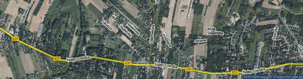 Zdjęcie satelitarne Dąbrowicka ul.
