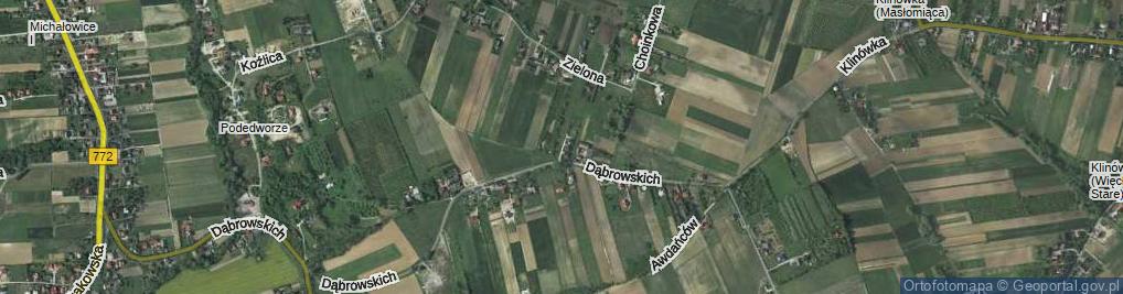 Zdjęcie satelitarne Dąbrowskich ul.