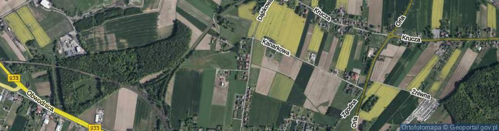 Zdjęcie satelitarne Dąbkowa ul.