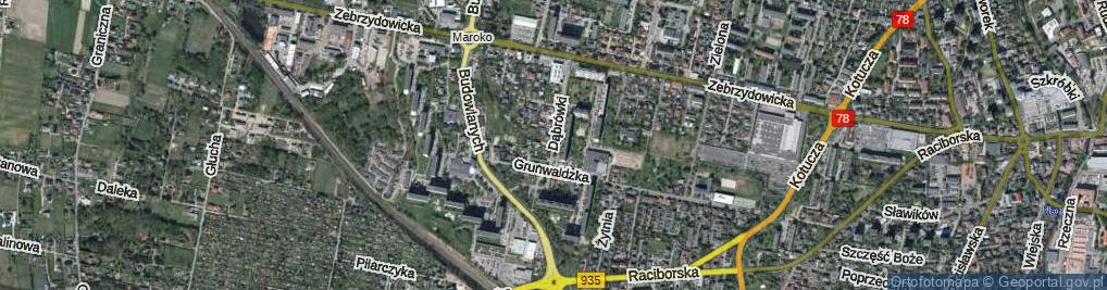 Zdjęcie satelitarne Dąbrówki ul.