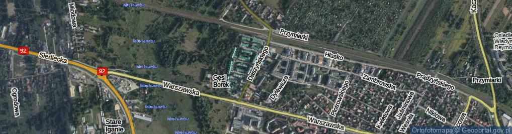 Zdjęcie satelitarne Daszyńskiego Ignacego ul.