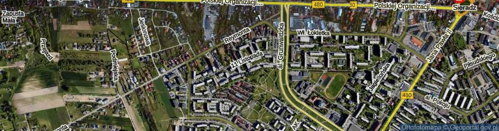 Zdjęcie satelitarne Daszyńskiego Ignacego ul.