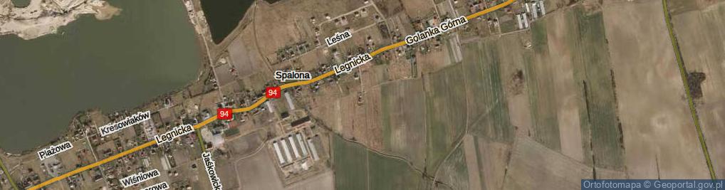 Zdjęcie satelitarne Dawidowska ul.