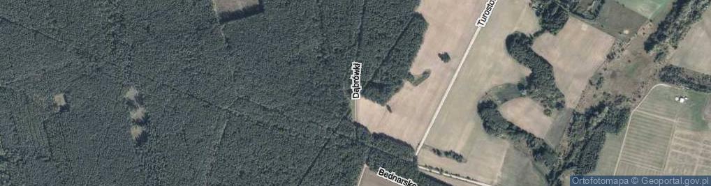 Zdjęcie satelitarne Dąbrówki ul.
