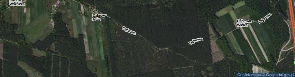 Zdjęcie satelitarne Dąbrowa ul.