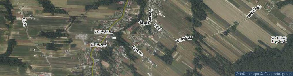Zdjęcie satelitarne Dębowa Boczna ul.