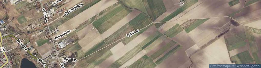 Zdjęcie satelitarne Dębiecka ul.