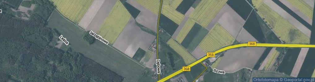 Zdjęcie satelitarne Dębowa ul.