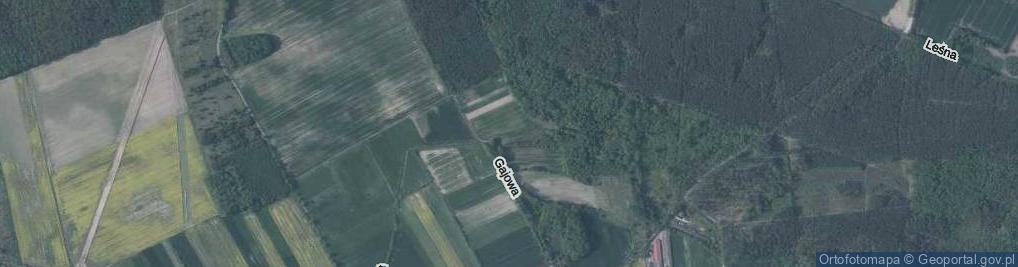 Zdjęcie satelitarne Dębowa ul.