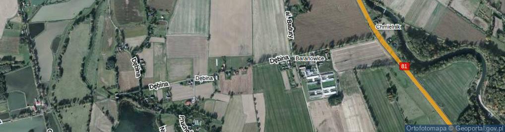 Zdjęcie satelitarne Dębina ul.