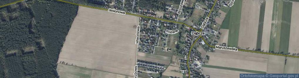 Zdjęcie satelitarne Dębowa ul.