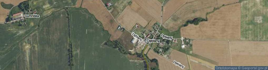 Zdjęcie satelitarne Dębiany ul.