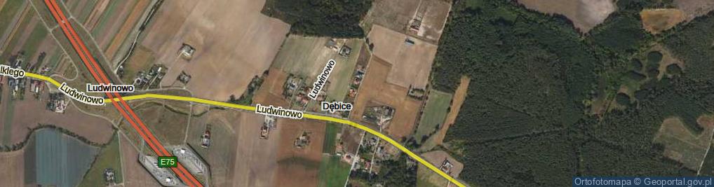 Zdjęcie satelitarne Dębice ul.