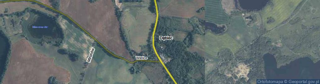 Zdjęcie satelitarne Dębiec ul.