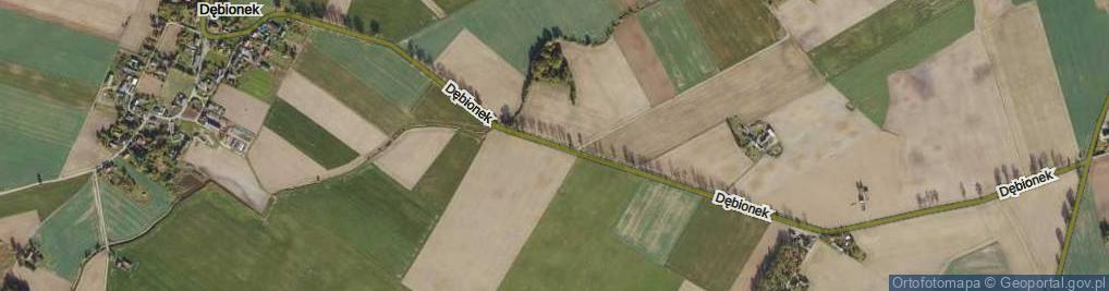 Zdjęcie satelitarne Dębionek ul.