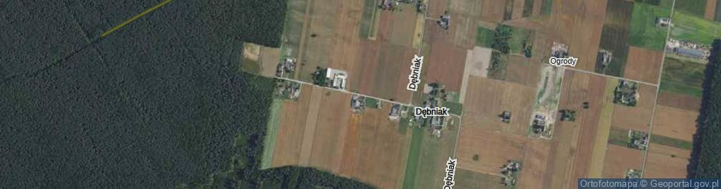 Zdjęcie satelitarne Dębniak ul.