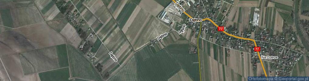 Zdjęcie satelitarne Dębno ul.