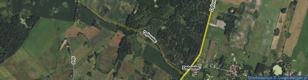 Zdjęcie satelitarne Dębowiec ul.