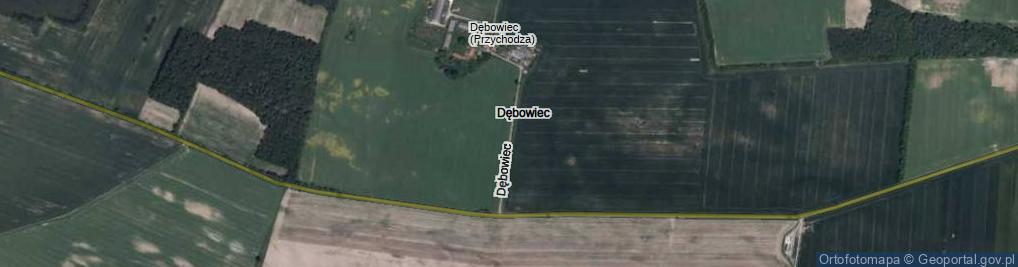 Zdjęcie satelitarne Dębowiec ul.