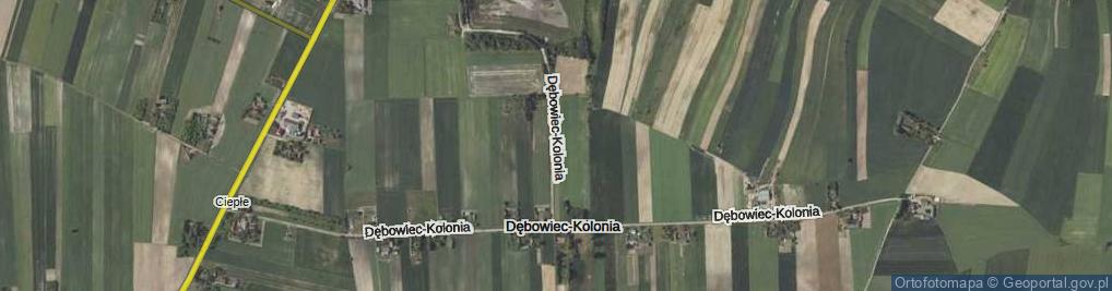 Zdjęcie satelitarne Dębowiec-Kolonia ul.
