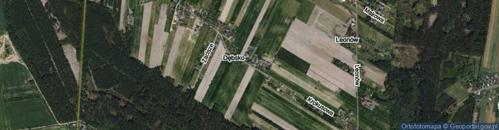 Zdjęcie satelitarne Dębsko ul.