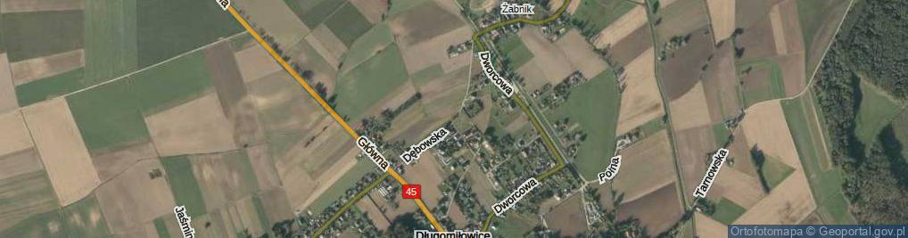 Zdjęcie satelitarne Dębowska ul.