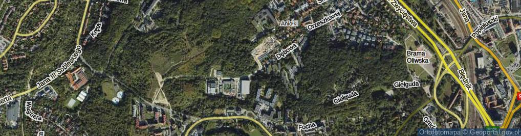 Zdjęcie satelitarne Dębowa ul.