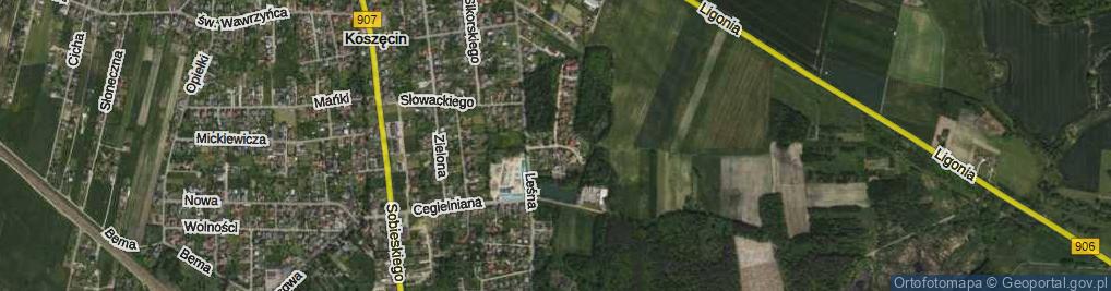 Zdjęcie satelitarne Dębowa ul.