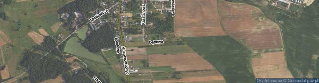 Zdjęcie satelitarne Dębowa ul.