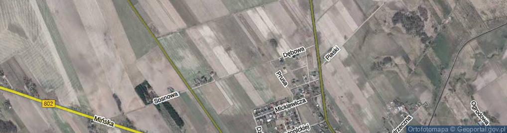Zdjęcie satelitarne Dębowa ul.