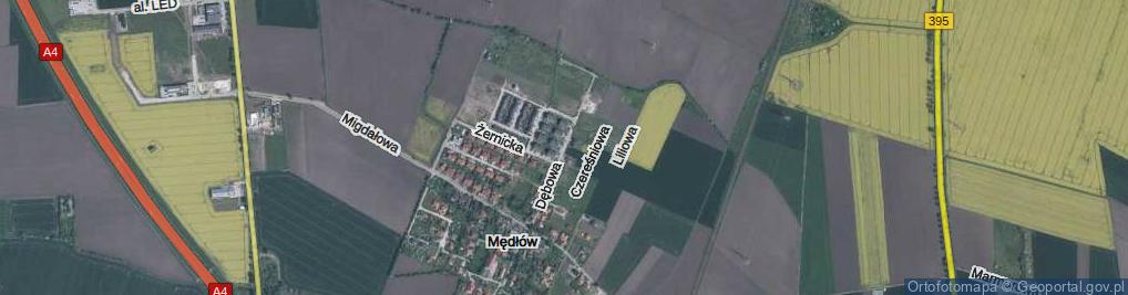 Zdjęcie satelitarne Dębowa ul.