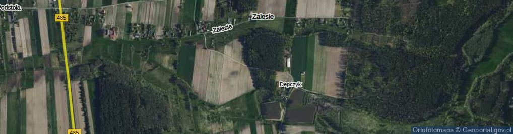 Zdjęcie satelitarne Depczyk ul.