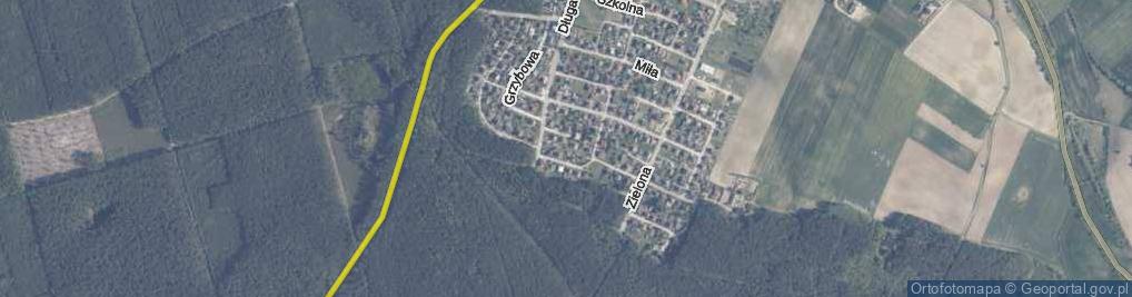 Zdjęcie satelitarne Dębowa ul.