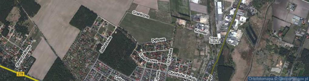 Zdjęcie satelitarne Dębowa ul.