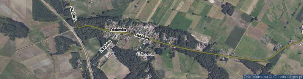 Zdjęcie satelitarne Dłutówka ul.