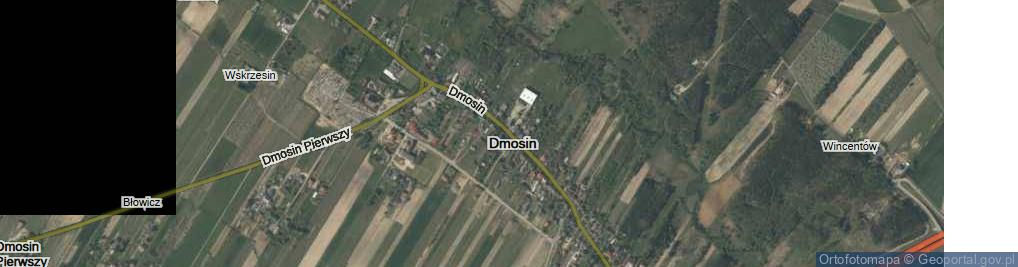 Zdjęcie satelitarne Dmosin ul.