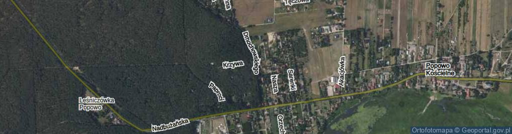 Zdjęcie satelitarne Dmochowskiego Mariusza ul.