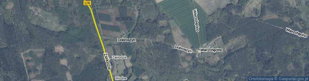 Zdjęcie satelitarne Dobroszyn ul.