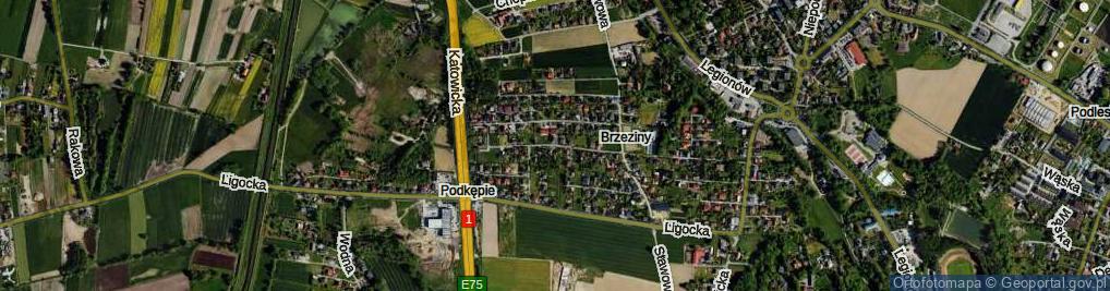 Zdjęcie satelitarne Dożynkowa ul.