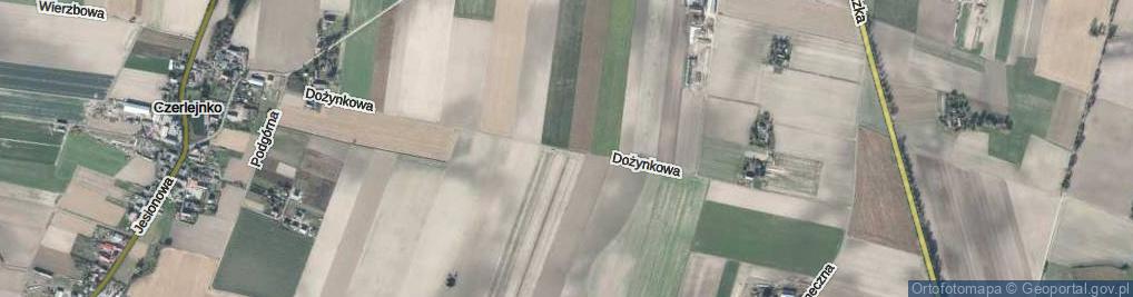Zdjęcie satelitarne Dożynkowa ul.