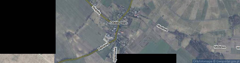 Zdjęcie satelitarne Dobieszewo ul.