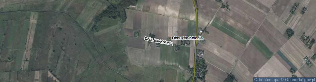 Zdjęcie satelitarne Dobużek-Kolonia ul.