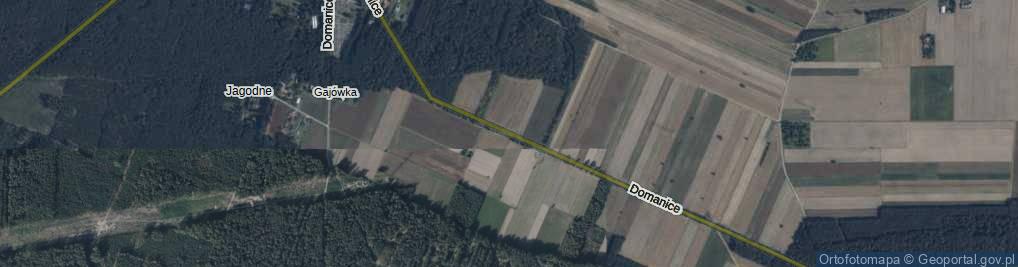 Zdjęcie satelitarne Domanice ul.
