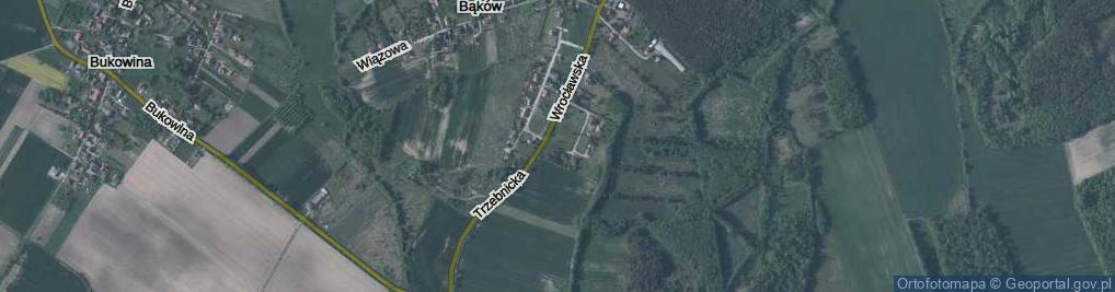Zdjęcie satelitarne Domaszczyn ul.