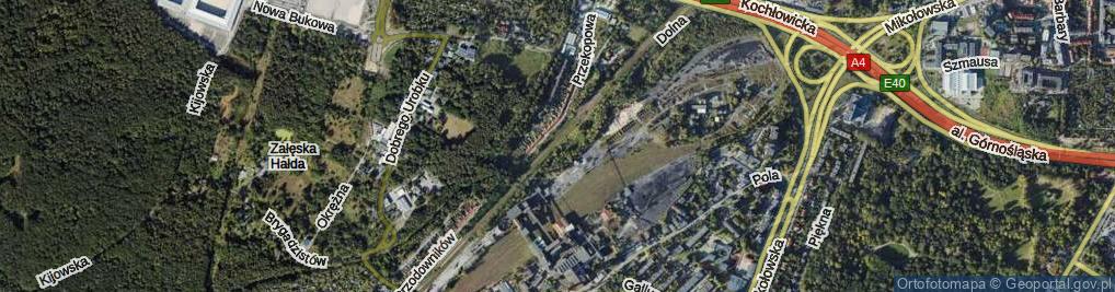 Zdjęcie satelitarne Dolna ul.