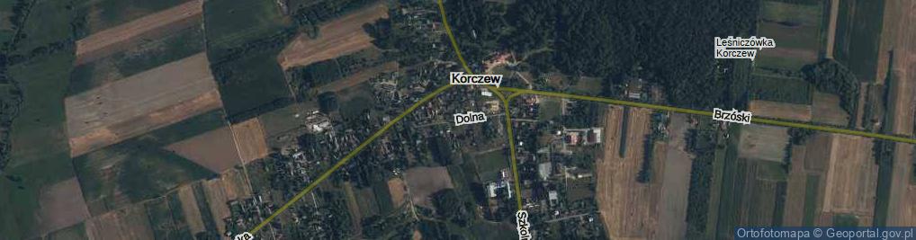 Zdjęcie satelitarne Dolna ul.