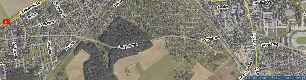 Zdjęcie satelitarne Dożynkowa ul.